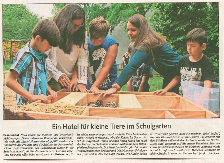 Zeitungsartikel über den Bau eines Insektenhotels