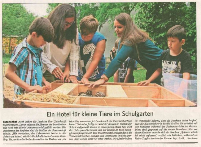 wir bauen ein insektenhotel